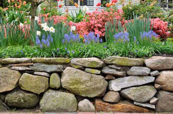 Stone Wall Hardscaping in Joplin